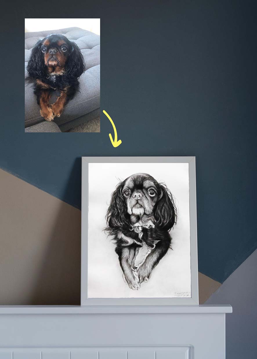 Drawing of a dog