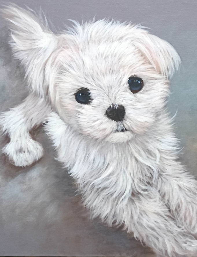 Custom portrait painting white dog